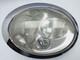 40241748 Feu Droit / 281622 Pour Bmw Mini R50, R53 One