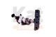 Catalyseur Bmw-mini One 1.4i 16v 1397 Cc 70 Kw / 95 Cv N12b14a 3/073/10 Ref. 21