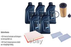 Inspection Set 5W-30 LONG LIFE 04 Twin Power Turbo 5L Pour MINI Mini One BMW X1